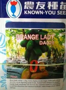 Pepaya Orange Lady 50s