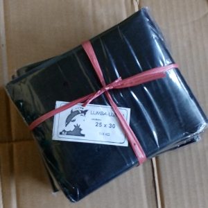 Polybag 25x30 1 kg
