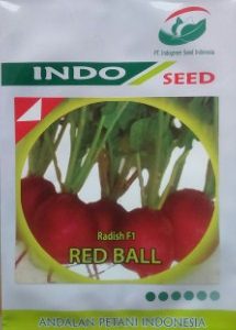Radish F1 Red Ball
