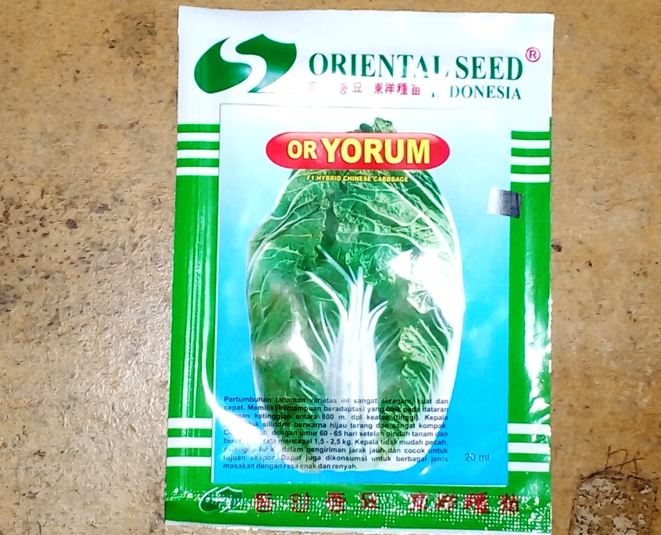 Sawi Putih YORUM