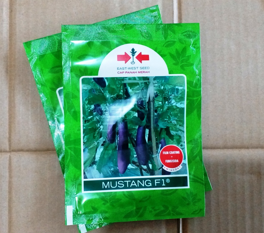 Terong Mustang F1 400s
