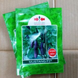 Terong Mustang F1 1.100s