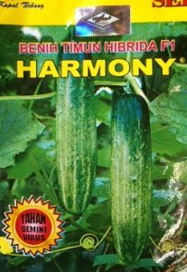 Timun Harmony F1 20g
