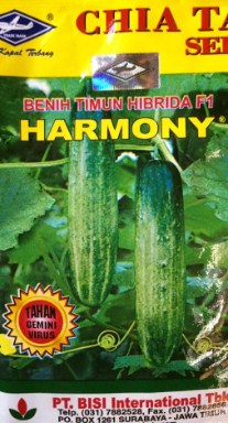 Timun Harmony F1 20g