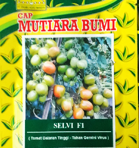 Tomat Selvi F1