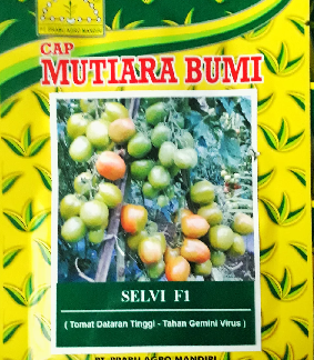 Tomat Selvi F1
