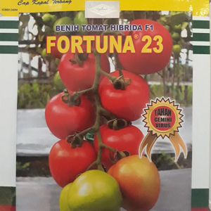 Benih Tomat Fortuna 23 - 5 Gr