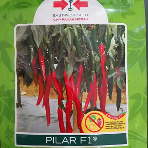 Cabe Merah Besar Hibrida Pilar F1 1500 Biji