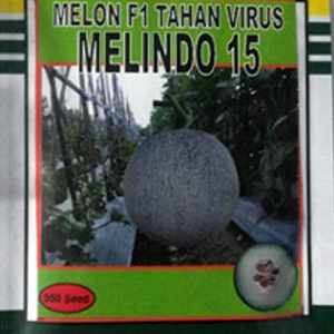 Melon Melindo 15 Tahan Virus