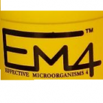 logo em4