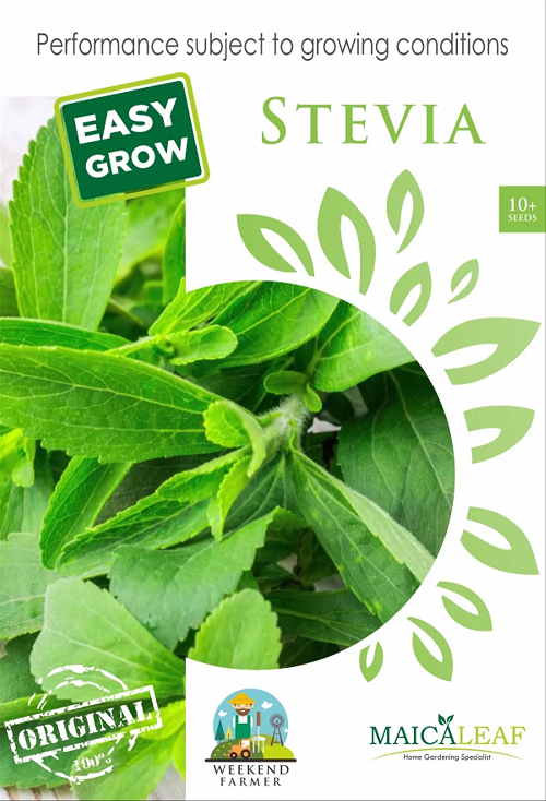 jual benih stevia
