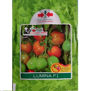 Benih Tomat Lumina F1 5 gr