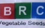 brc logo brand