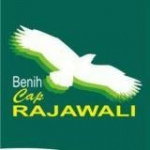 tunas jaya seed rajawali logo brand