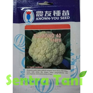 Benih Bunga Kol Diamond 40