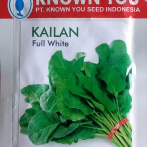 jual bibit kailan