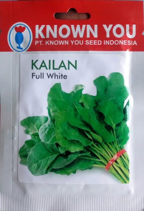 jual bibit kailan