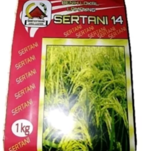 jual benih padi sertani 14