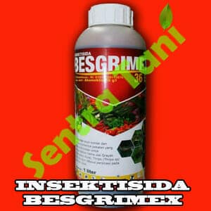 Insektisida Begrimex 500 gr
