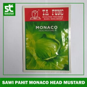 Benih Sawi Pahit Monaco Head Mustard