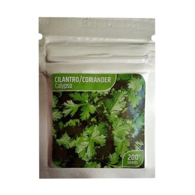 Benih Biji Ketumbar Coriander Cilantro Calypso 200 Biji