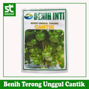 Benih Terong Unggul Cantik