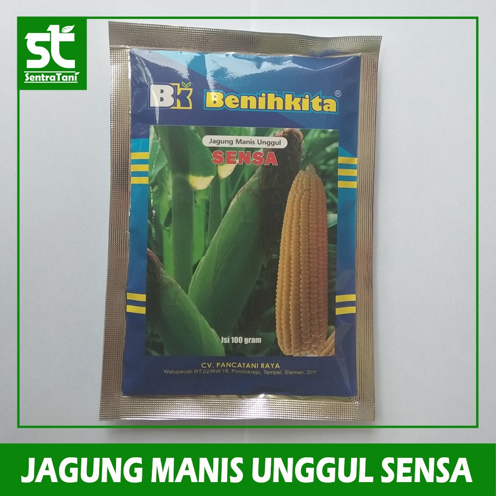 BENIH JAGUNG MANIS SENSA 100 GRAM