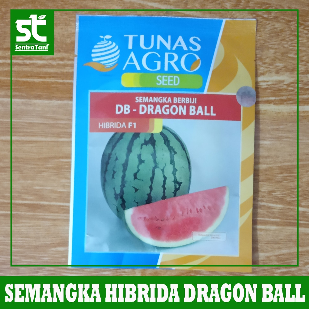 Benih Semangka Hibrida F1 Dragon Ball