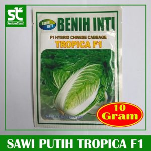 Benih Sawi Putih Tropica F1