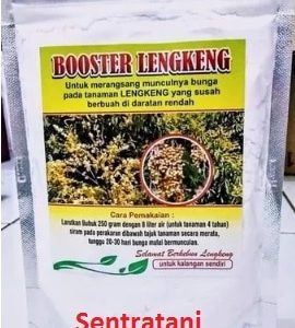 Pupuk Booster Lengkeng
