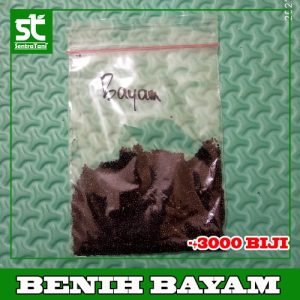 Benih Bayam Cabut