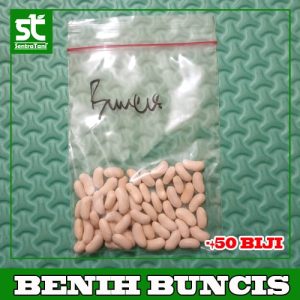 Benih Buncis Murah