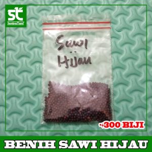 Benih Sawi Hijau Murah