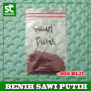 Benih Sawi Putih 200 biji