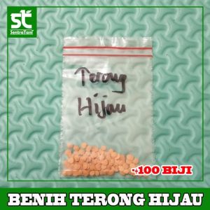 Benih Terong Hijau