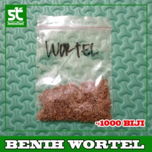 Benih Wortel 1000 Biji