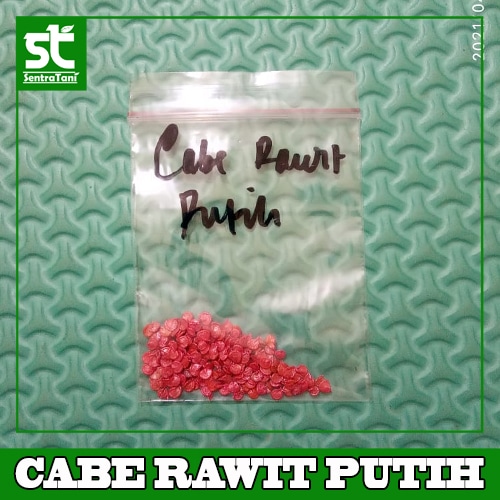 Benih Rawe Rawit Putih