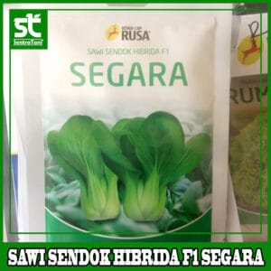 Benih Sawi Sendok Hibrida F1 SEGARA