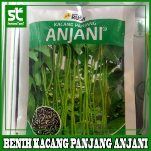 Benih Kacang Panjang ANJANI