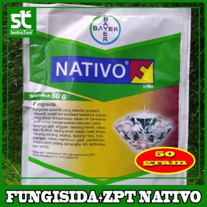 Fungisida Nativo 50 Gram