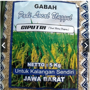 Bibit Padi Ciherang Putri 5 kg