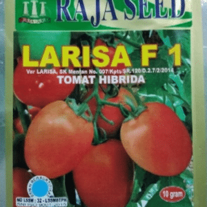 jual bibit tomat larisa f1 raja seed